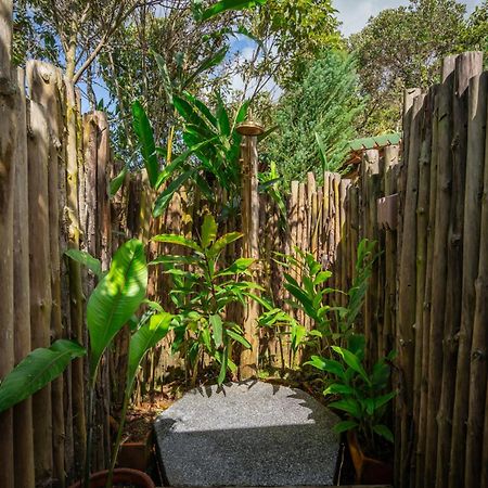 Hotel BubbleSky Glamping Guatapé Extérieur photo